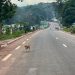 Centrafrique: une opération de démantèlement des barrières illégales image principale