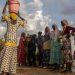 Dans le nord-est de la Centrafrique, des formations pour permettre aux réfugiés soudanais de gagner leur vie image principale