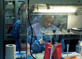 Ebola en RDC: démarrage d'un essai clinique d'un potentiel traitement contre la souche Bundibugyo image principale