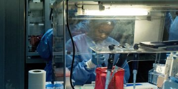Ebola en RDC: démarrage d'un essai clinique d'un potentiel traitement contre la souche Bundibugyo image principale