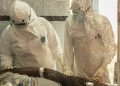 Ebola en RDC: la barre des 500 décès franchie, selon le dernier bilan des autorités congolaises image principale