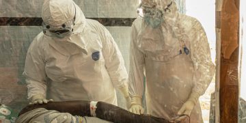 Ebola en RDC: la barre des 500 décès franchie, selon le dernier bilan des autorités congolaises image principale
