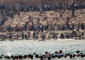 Espagne: à Ceuta, les autorités débordées par l'afflux de migrants image principale