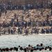 Espagne: à Ceuta, les autorités débordées par l'afflux de migrants image principale