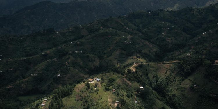 Est de la RDC: au moins 18 civils tués dans une nouvelle attaque du groupe ADF en Ituri image principale