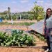 Femmes de la terre: au Maroc, Wissal Ben Moussa régénère ce qui a été détruit [3/5] image principale