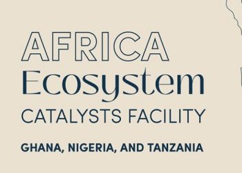 Ghana : le programme Africa Ecosystem Catalysts investit 500 000 $ dans 3 jeunes pousses image principale