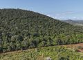 information sur les minerais au Kenya