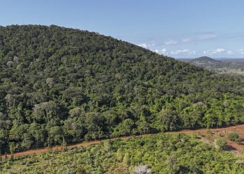 information sur les minerais au Kenya