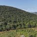 information sur les minerais au Kenya