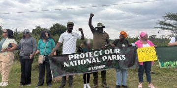 Kenya: des militants s'érigent contre un orphelinat animalier dans le parc national de Nairobi image principale