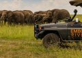 Kenya: un hôtel de luxe dans la réserve Masai Mara continue d'alimenter les polémiques image principale