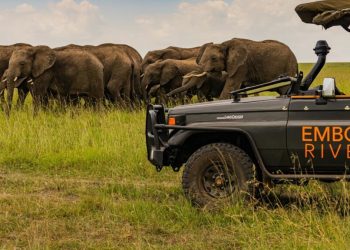 Kenya: un hôtel de luxe dans la réserve Masai Mara continue d'alimenter les polémiques image principale