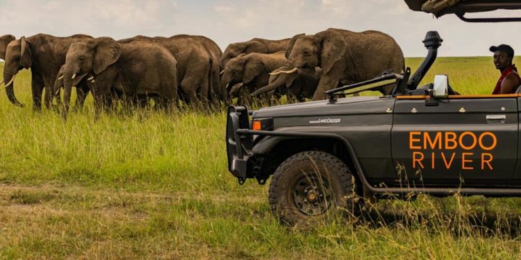 Kenya: un hôtel de luxe dans la réserve Masai Mara continue d'alimenter les polémiques image principale