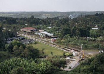 RDC: Greenpeace alerte sur les menaces qui pèsent sur le couloir vert Kivu-Kinshasa image principale