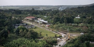 RDC: Greenpeace alerte sur les menaces qui pèsent sur le couloir vert Kivu-Kinshasa image principale