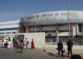 Sénégal: trois chroniqueurs se réclamant du Pastef poursuivis pour offense au chef de l'État image principale