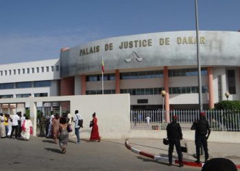 Sénégal: trois chroniqueurs se réclamant du Pastef poursuivis pour offense au chef de l'État image principale