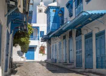 Tunisie: l’inscription au patrimoine mondial de l’Unesco de Sidi Bou Saïd «doit faire bouger les choses» image principale