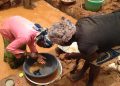 À la frontière du Cameroun avec la RCA, un éboulement dans une mine d’or fait plus d'une centaine de morts image princip