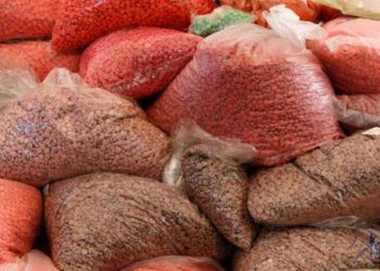 Afrique du Sud: un laboratoire clandestin de méthamphétamine démantelé dans le nord du pays image principale