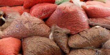 Afrique du Sud: un laboratoire clandestin de méthamphétamine démantelé dans le nord du pays image principale