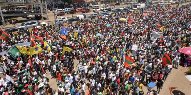 Angola: l'Unita revendique 32 blessés par la police lors d'un hommage à Jonas Savimbi image principale