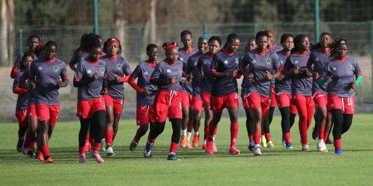 CAN féminine 2026: le Malawi élimine l’Algérie et file en finale image principale