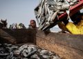 Climat: avec le réchauffement des océans, les poissons se raréfient et le secteur de la pêche peine à s’adapter image princip