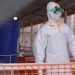 Ebola en RDC: un décès toutes les 30 minutes, alerte l'ONU image principale