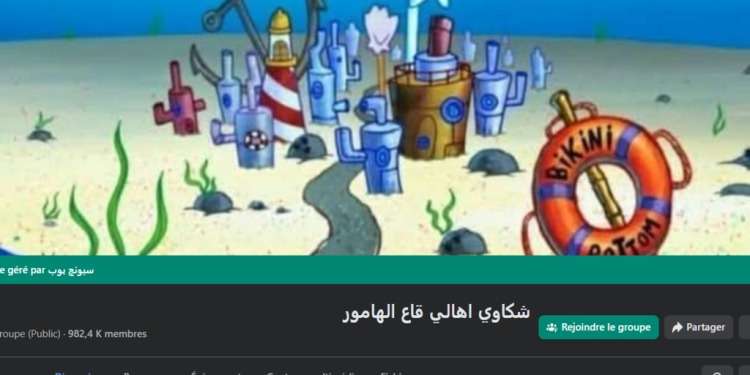 En Égypte, une page Facebook sur l'univers de Bob l'Éponge est devenue un lieu de critique du pouvoir image principale
