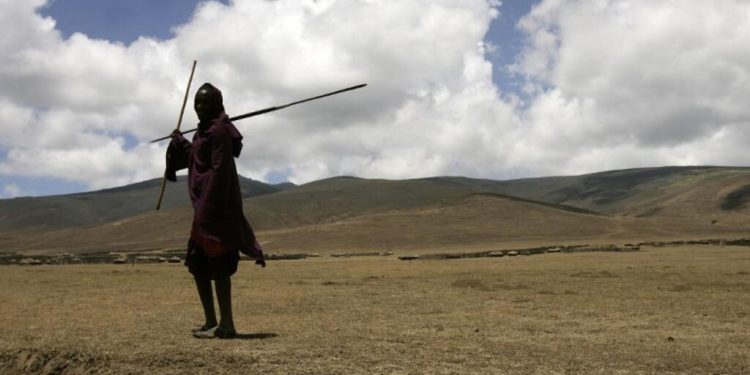 En Tanzanie, des Masaï allient tradition et technologie pour préserver les sols image principale