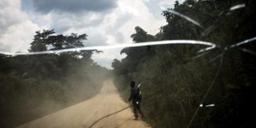 Est de la RDC: une cinquantaine de personnes enlevées lors d'une incursion des ADF dans le territoire de Mambasa - Est d