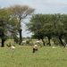 information image principale
