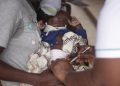 Journée mondiale du moustique: cinq ans après le premier vaccin, la lutte contre le paludisme avance en Afrique image princip
