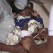 Journée mondiale du moustique: cinq ans après le premier vaccin, la lutte contre le paludisme avance en Afrique image princip