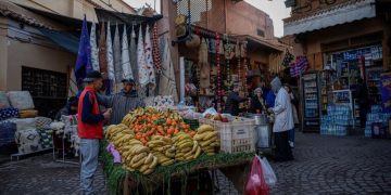 Maroc: près d'un jeune salarié sur deux est surqualifié pour son emploi, révèle la Banque mondiale image principale