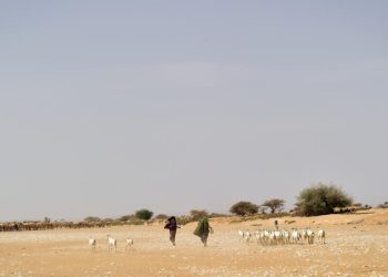 Restaurer les terres pour restaurer la paix: 400 organisations interpellent les États image principale