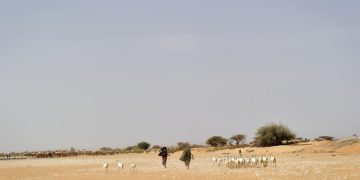Restaurer les terres pour restaurer la paix: 400 organisations interpellent les États image principale