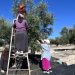 Tunisie: les recettes d’exportation d’huile d’olive augmentent de 45% image principale