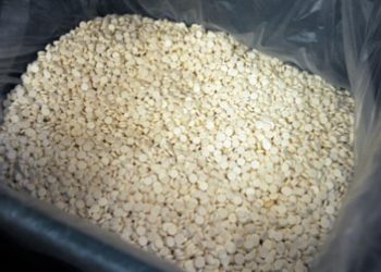 Afrique du Sud: un nouveau laboratoire clandestin de méthamphétamine démantelé image principale