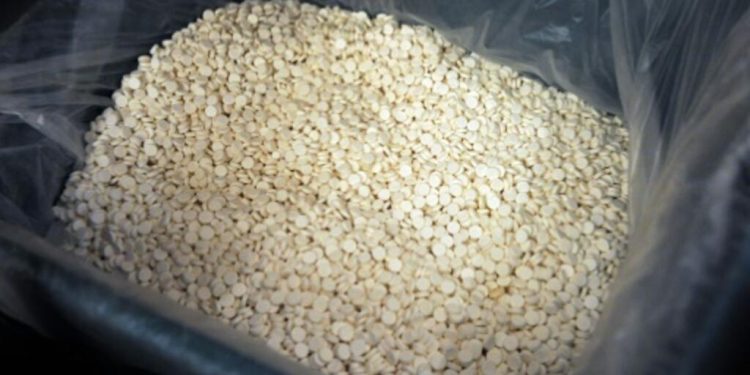 Afrique du Sud: un nouveau laboratoire clandestin de méthamphétamine démantelé image principale